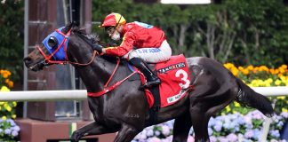 Encountered searches for his first Group race success at Sha Tin in the G3 Celebration Cup.