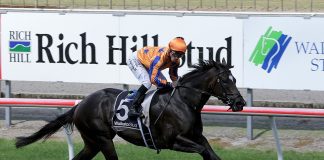 Imperatriz aims to keep her winning streak going in Saturday's G1 VRC Champions Sprint at Flemington on Saturday.