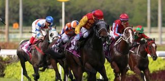 Coin Toss (Daniel Moor) puts paid to his rivals in the Group 2 Singapore Three-Year-Old Classic last year.