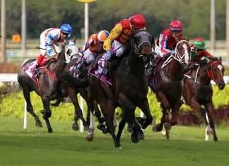 Coin Toss (Daniel Moor) puts paid to his rivals in the Group 2 Singapore Three-Year-Old Classic last year.