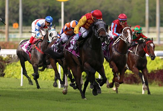 Coin Toss (Daniel Moor) puts paid to his rivals in the Group 2 Singapore Three-Year-Old Classic last year.