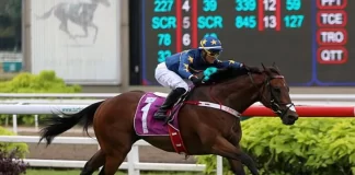 Lim's Kosciuszko (Wong Chin Chuen) puts his rivals to the sword in the Group 1 Kranji Mile on 20 May 2023.