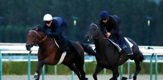 Ace Impact shaping up for the Arc under Cristian Demuro (white cap) this week at Deauville