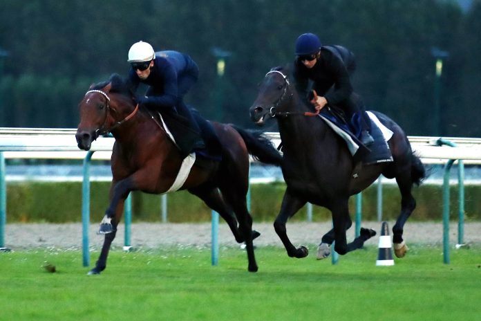 Ace Impact shaping up for the Arc under Cristian Demuro (white cap) this week at Deauville