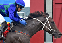 Awesome Storm winning the first leg of the Triple Crown Series, the Tunku Gold Cup (1200m) at Selangor.