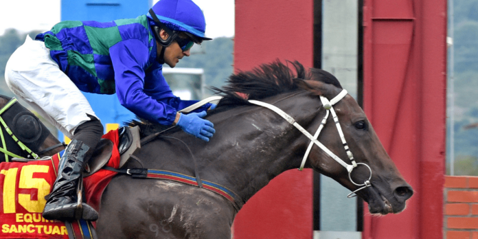 Awesome Storm winning the first leg of the Triple Crown Series, the Tunku Gold Cup (1200m) at Selangor.