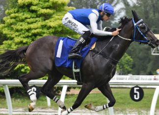 KHAYYAM looks ready to strike second up when he steps out in the 1175m Supreme C contest at Kuala Lumpur this Sunday.