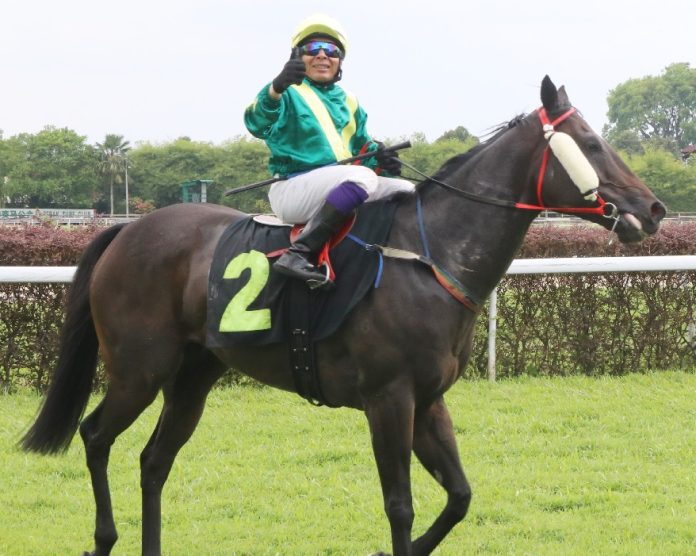 The lightly-raced TEOCHEW KID (3) has performed well this year, recording two wins from four starts.