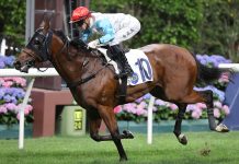 Lyle Hewitson at Happy Valley in Hong Kong