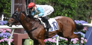 Lyle Hewitson at Happy Valley in Hong Kong