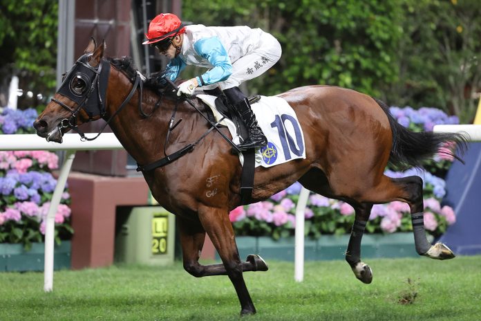 Lyle Hewitson at Happy Valley in Hong Kong