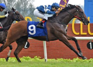 Ansu is chasing a third straight success in KL on Saturday.