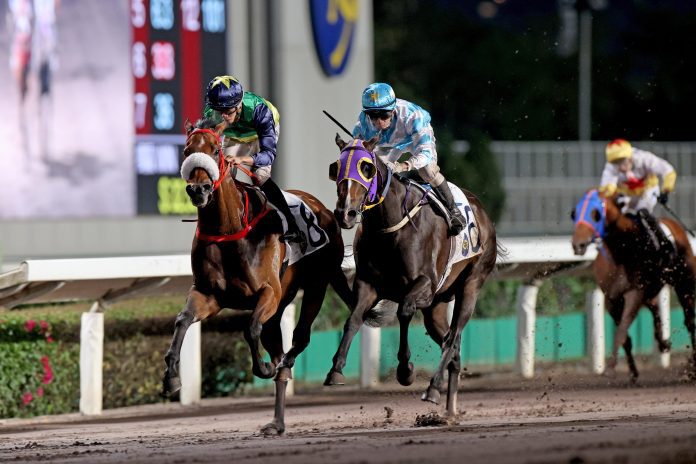 Youthful Deal (left) returns to his happy hunting ground on Sunday at Sha Tin.