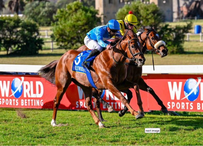 Charles Dickens launched his 4yo campaign in fine style at Hollywoodbets Durbanville on Saturday, taking out the Matchem Stakes (Gr3) over 1400m with a heart-stopping narrow victory