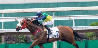 Youthful Deal returns to his happy hunting ground on Sunday at Sha Tin.