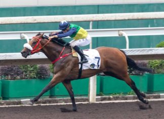 Youthful Deal returns to his happy hunting ground on Sunday at Sha Tin.
