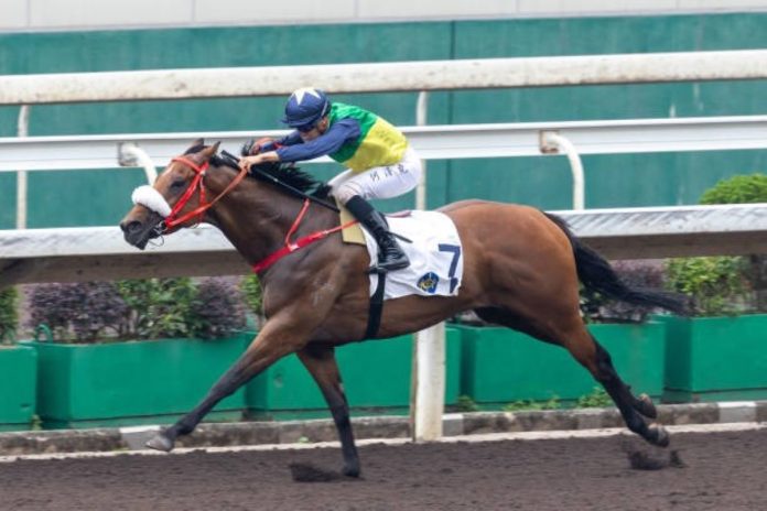 Youthful Deal returns to his happy hunting ground on Sunday at Sha Tin.