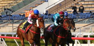 Romantic Warrior (middle) hits the line at Sha Tin.