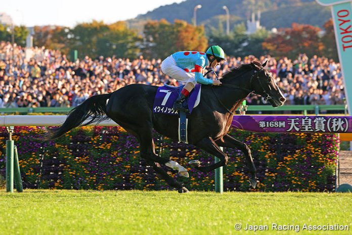 Superstar Equinox returns in the Group 1 Japan Cup at Tokyo on Sunday.