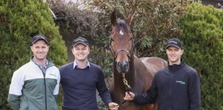 brothers Ben, Will and JD Hayes have their sights set on redemption in Saturday’s (4 November) G1 Victoria Derby (2500m) at Flemington.