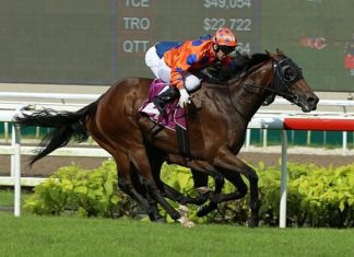 Relentless seen here sprinting past Lim's Kosciuszko (obscured) to win the Group 2 Stewards' Cup last year.