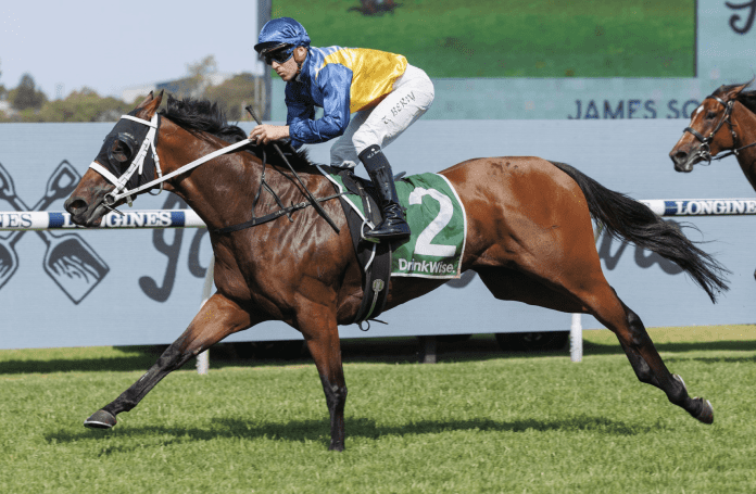 Handy mare Roots heads west to contest the G1 Railway Stakes at Ascot.