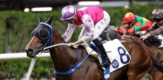 Vincent Ho guides M Unicorn to victory at the Valley.