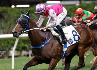 Vincent Ho guides M Unicorn to victory at the Valley.