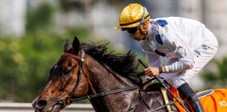 Golden Sixty is one of Hong Kong’s most-famous horses in history.