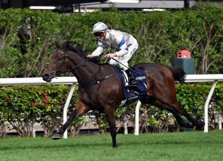 Silver Sonic cruises to victory during the LONGINES International Jockeys’ Championship.