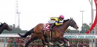 Prognosis is one of the major contenders in the LONGINES Hong Kong Cup.