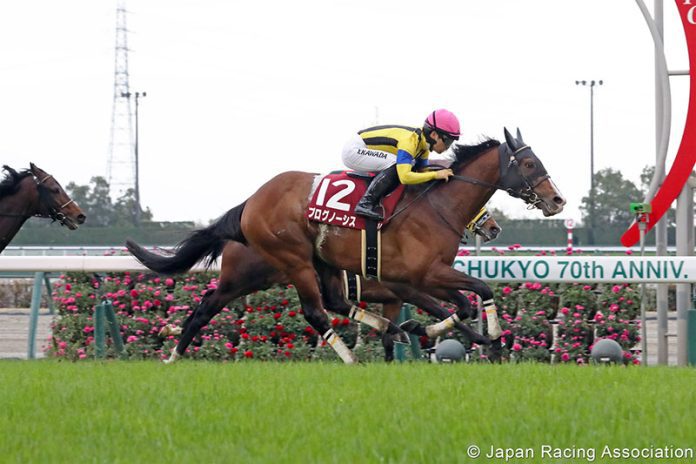 Prognosis is one of the major contenders in the LONGINES Hong Kong Cup.