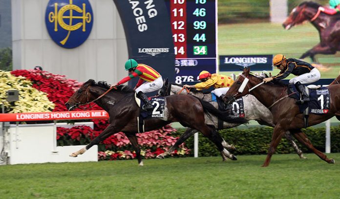 Japan five handed in search of Hong Kong Mile success iRace