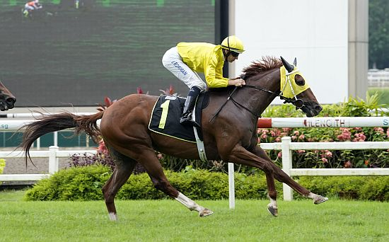 City Gold Star is a horse on the rise around Kranji.