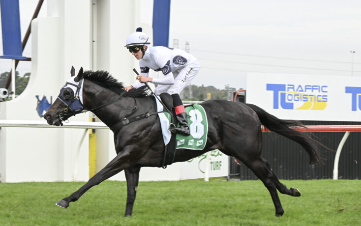 Insurrection needs to pass the 1200m test to continue his winning ways.