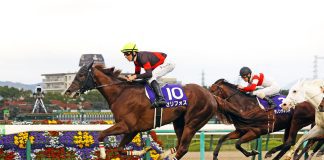 Serifos, trained by Mitsumasa Nakauchida, is a major contenders in this year’s LONGINES Hong Kong Mile.