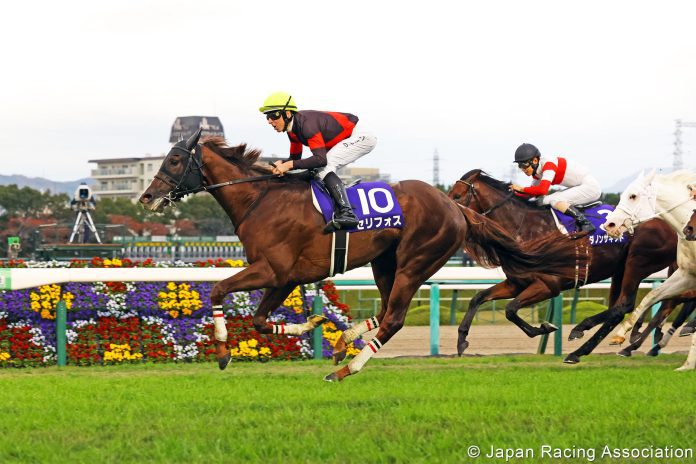 Serifos, trained by Mitsumasa Nakauchida, is a major contenders in this year’s LONGINES Hong Kong Mile.