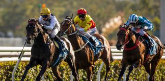 Golden Sixty (yellow cap) is one of Hong Kong’s most famous racehorses.