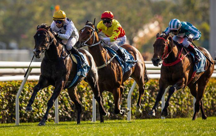 Golden Sixty (yellow cap) is one of Hong Kong’s most famous racehorses.