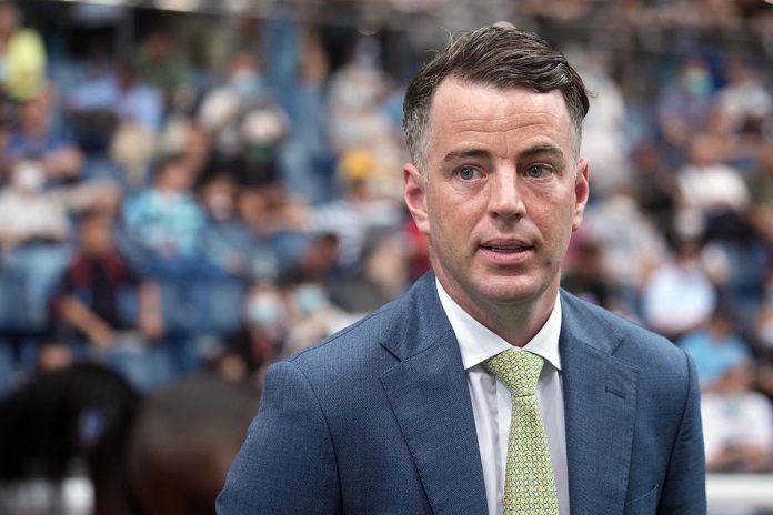 Jamie Richards is plotting G1 success with Wellington.