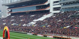 Sha Tin racing action.