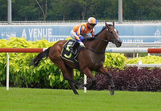 Gun (Jamil Sarwi) seen here at his first win on 9 December.