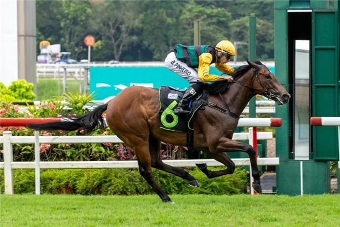 Smart 3YO Silo will have one last hurrah at Kranji this weekend.