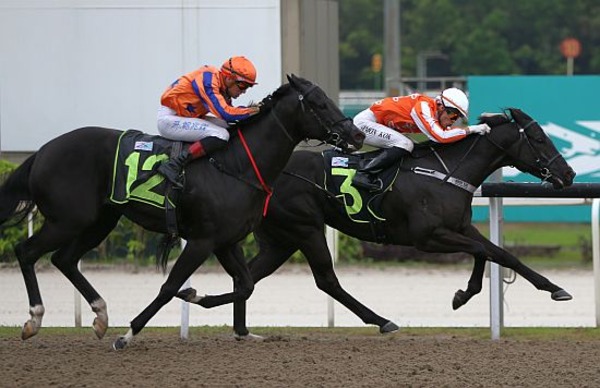 Pacific Emperor (inside) gets back to arguably what he does best when contesting the $100,000 Kranji Stakes A race on the Polytrack over 1100m on Saturday.