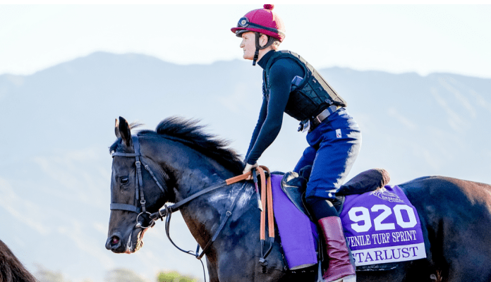 Starlust takes on the Al Wasl Stakes (Image Courtesy Breeders' Cup)