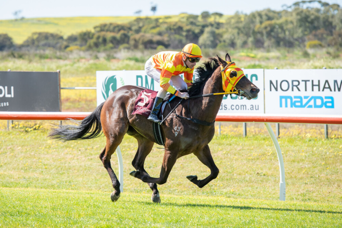 Devine Belief can continue her winning way in the west.