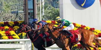 Red Lion and Zac Purton fend off Mugen.