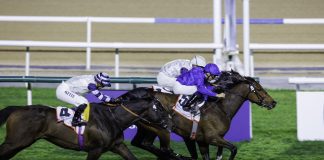 It was another Charlie Appleby masterclass on the Meydan turf when Warren Point provided the highlight of a sparkling four-timer.