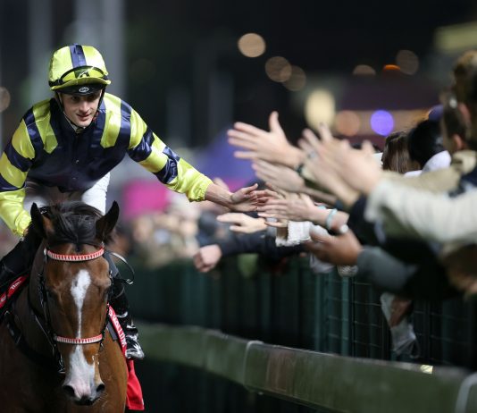 Happy Valley racing action.