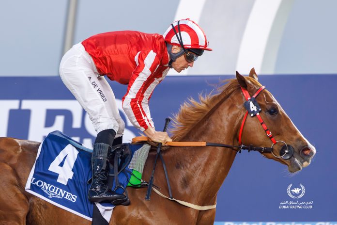 Manama Gold has been one of the stars of the Dubai season so far.